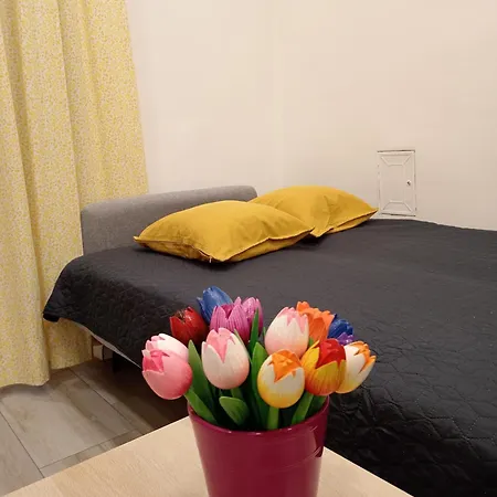 Apartman Margherita Pula